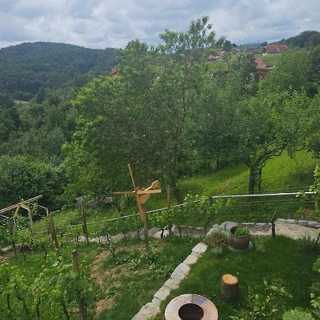 Zidanica Muhic Villa Dolenjske Toplice Exteriör bild