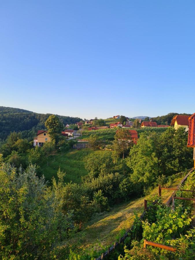 Zidanica Muhic Villa Dolenjske Toplice Exteriör bild