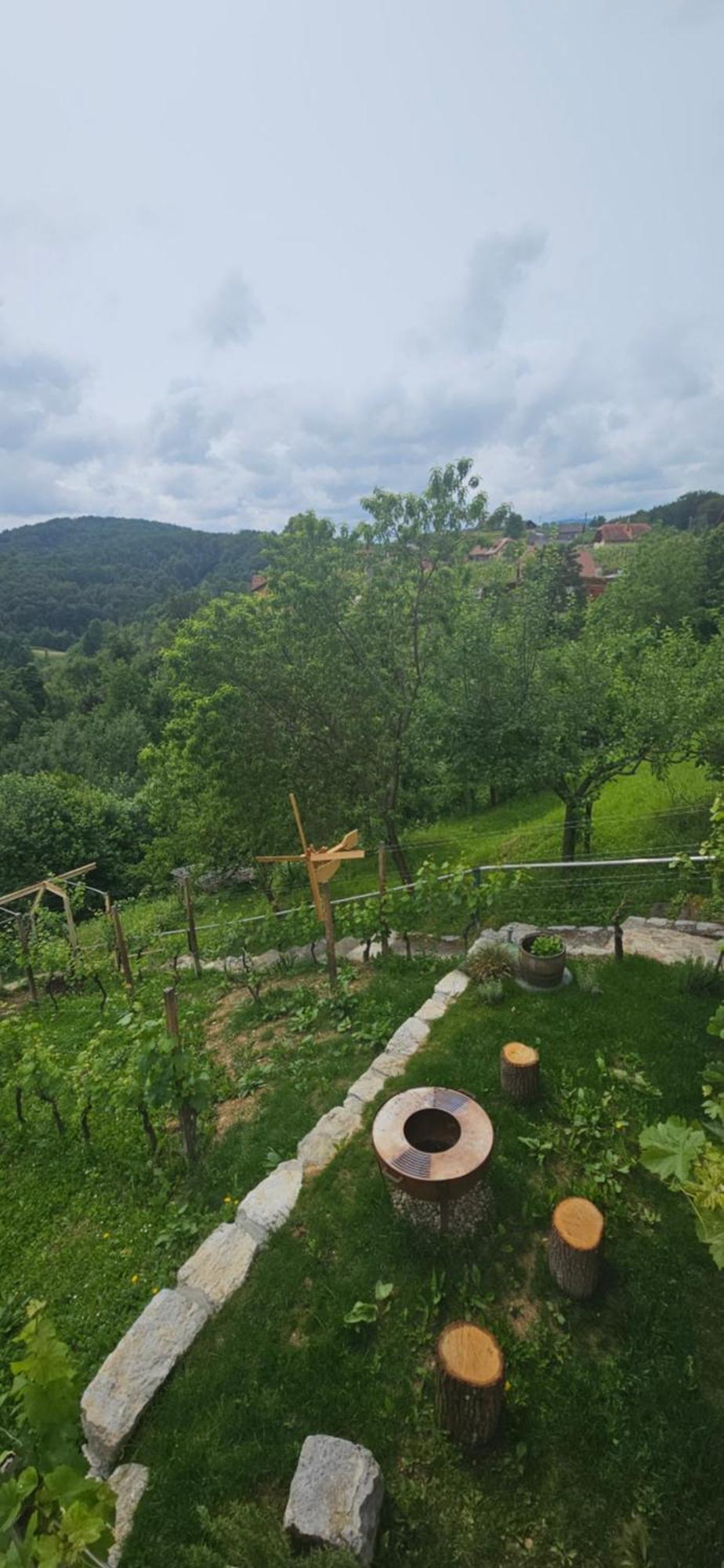 Zidanica Muhic Villa Dolenjske Toplice Exteriör bild